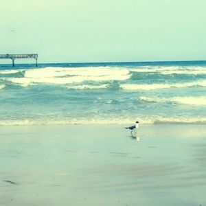 Meet your Posher, Lilah